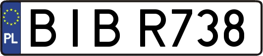 BIBR738