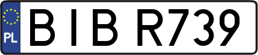 BIBR739