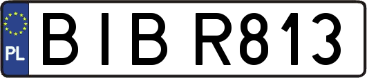 BIBR813