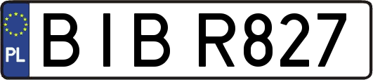 BIBR827