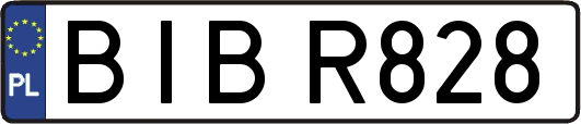 BIBR828