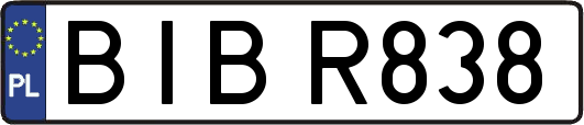 BIBR838