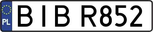 BIBR852