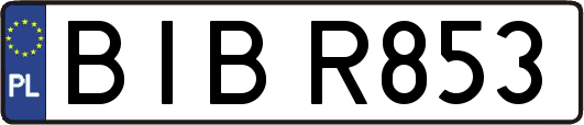 BIBR853