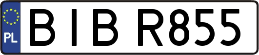 BIBR855