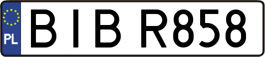 BIBR858