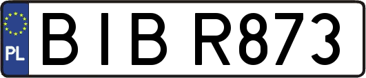BIBR873