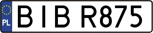 BIBR875