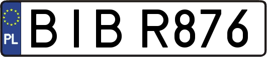 BIBR876