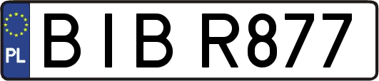 BIBR877