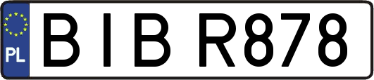 BIBR878