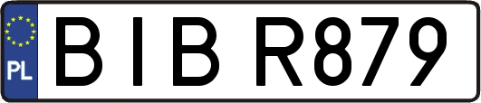 BIBR879