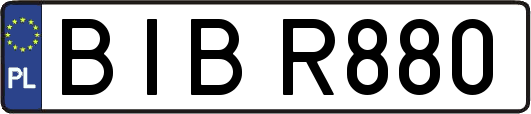 BIBR880