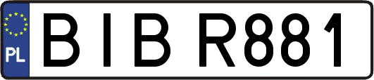 BIBR881
