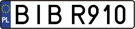 BIBR910