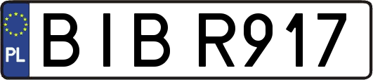 BIBR917