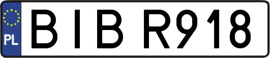 BIBR918