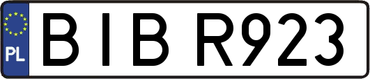 BIBR923