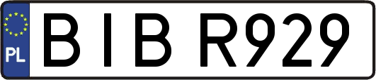 BIBR929