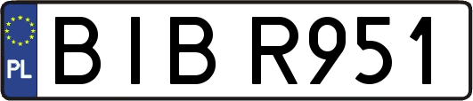 BIBR951