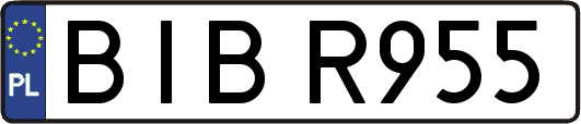BIBR955