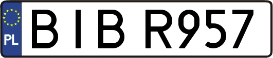 BIBR957