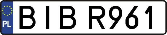 BIBR961
