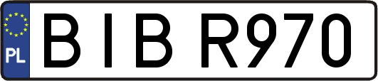 BIBR970