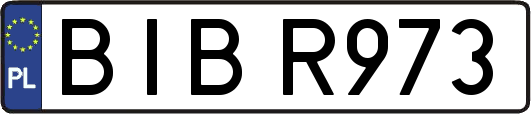 BIBR973