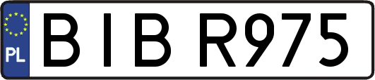 BIBR975