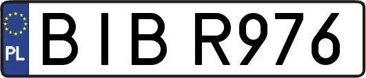 BIBR976