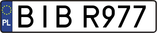 BIBR977