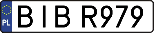 BIBR979