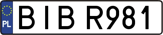 BIBR981