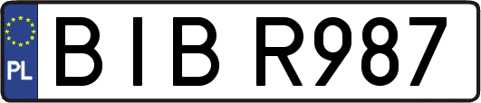 BIBR987