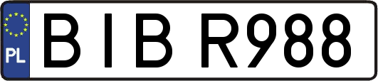 BIBR988