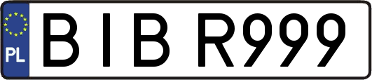BIBR999