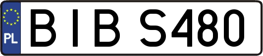 BIBS480