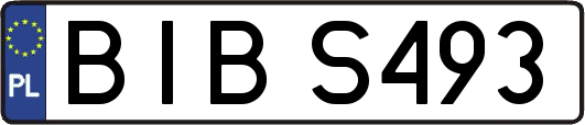 BIBS493