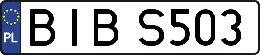 BIBS503