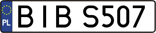 BIBS507