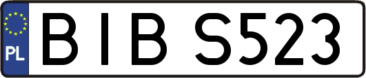 BIBS523