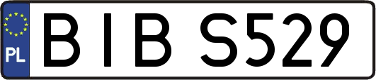 BIBS529