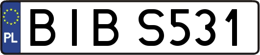 BIBS531