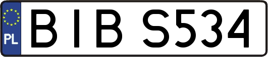 BIBS534