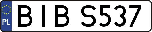 BIBS537