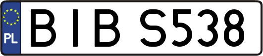 BIBS538