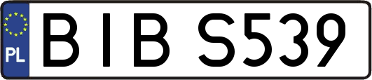 BIBS539