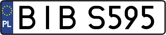 BIBS595