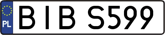 BIBS599